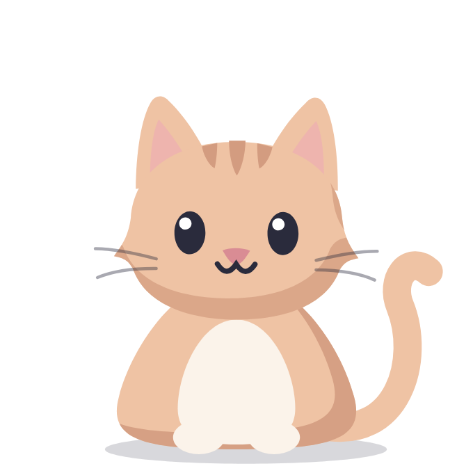 Mochi, Grava's companion cat